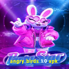 angry birds 1.0 apk